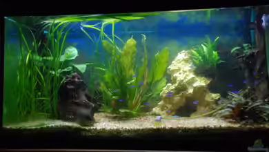 Becken 10041 von Markus