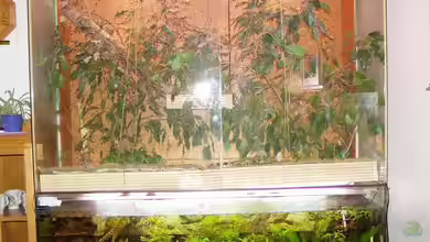 Becken 1006 von Hardy Kullmann