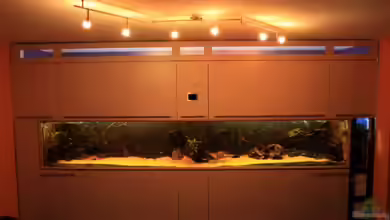 Becken 10090 von Barbara Langenberger