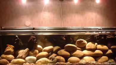 Becken 101 von Christian Woring