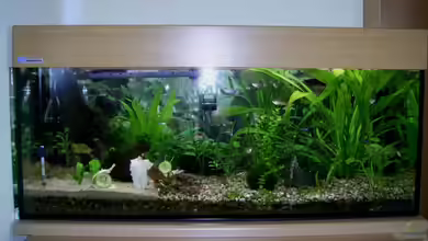 Becken 10144 von Michael Roßner