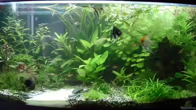 Becken 10150 von quickmike