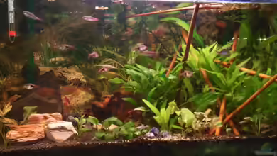 Becken 10229 von Markus Niederhofer