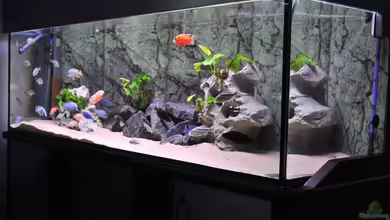 Becken 1023 von Lars Schnabel