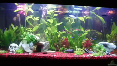 Becken 10256 von Kerstin Fahn