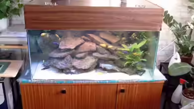 Becken 1027 von Helgo Jacob