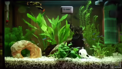 Becken 10300 von Maverrick