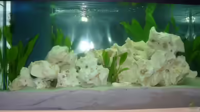 Becken 10304 von wundi82