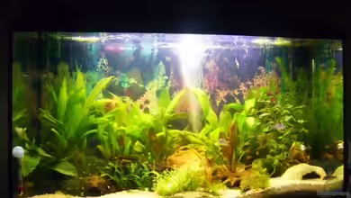 Becken 10345 von AlexK