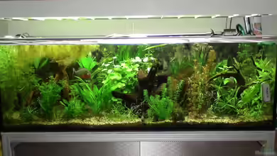 Becken 10375 von oxmox78