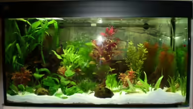 Becken 10386 von Marcus Stremlau