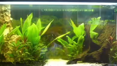 Becken 10419 von cRaZy T