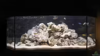 Becken 10495 von Malaw!K!d