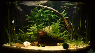 Becken 10527 von Verena Kemler