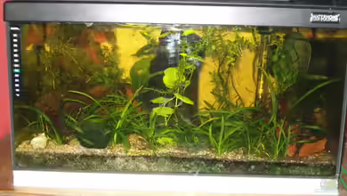 Becken 10547 von Jörg Kaminski