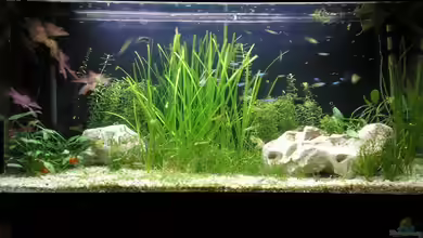 Becken 10552 von Mario Lange