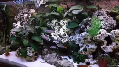 Becken 10576 von Uwe Baumgarten