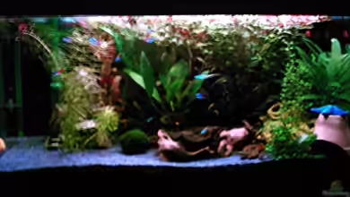 Becken 1061 von Michael Meyer