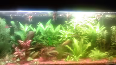 Becken 10651 von Christoph Leuschner