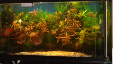 Becken 10652 von Ronny Matz