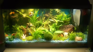 Becken 10661 von Stifflersmom76