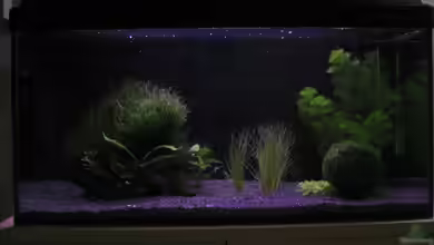 Becken 10672 von Mathias Schlett