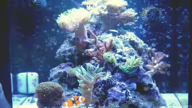 Becken 10673 von Mathias Schlett