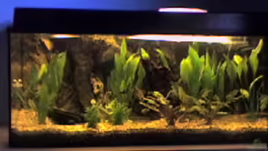 Becken 10678 von Manuel Kälsch