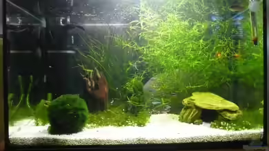 Becken 10789 von cRaZy T