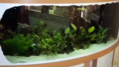 Becken 10818 von BlauerBock