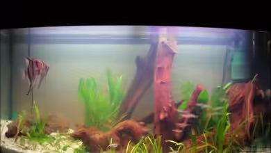 Becken 10900 von KaSeK