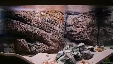 Becken 10942 von Sebastian W.