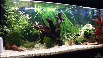 Becken 10969 von Sauerlandmicha