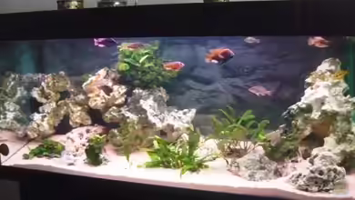 Becken 11000 von Berliner Tom