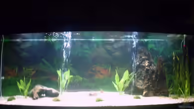 Becken 11017 von Sascha.L