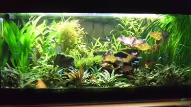 Becken 11043 von Oliver Bäcker