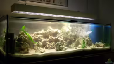 Becken 11069 von Andy Hurm