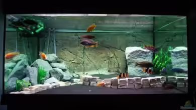 Becken 11140 von Padi