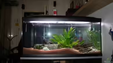 Becken 11186 von Taki