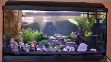 Becken 112 L nur noch als Beispiel von Stony