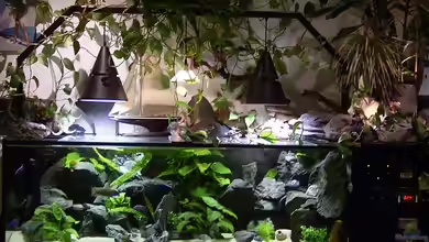 Becken 112 von Marco Spurzem