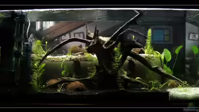 Becken 11222 von DaFishA