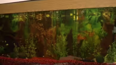 Becken 11286 von Thomas Bachl