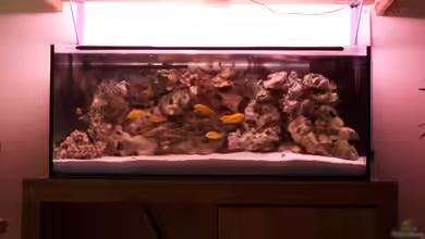 Becken 11412 von babyschlumpf