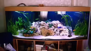 Becken 1144 von Katja Wilhelm