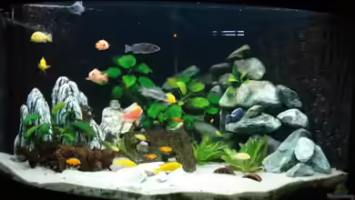 Becken 11459 von ProPaul