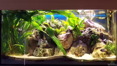 Becken 1148 von Jürgen Jakobi