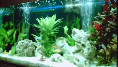 Becken 11577 von Ronald Leuschner