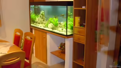 Becken 116 von Sascha Schleicher