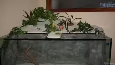 Becken 11631 von Andre Rohde